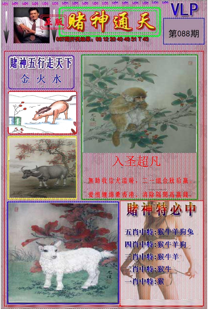 图片加载中