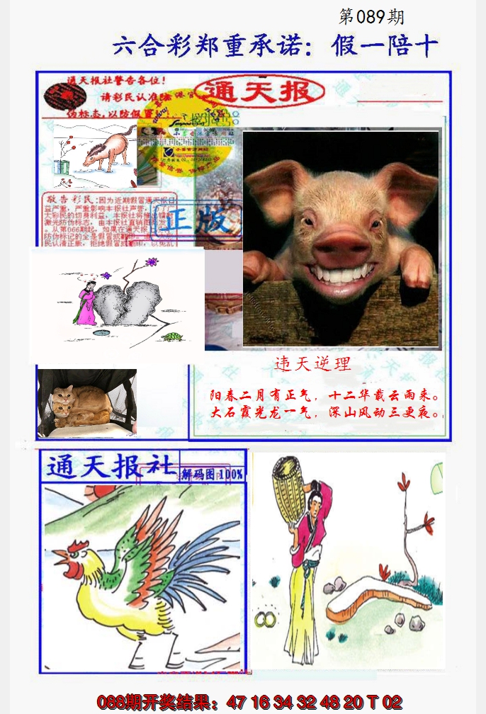 图片加载中