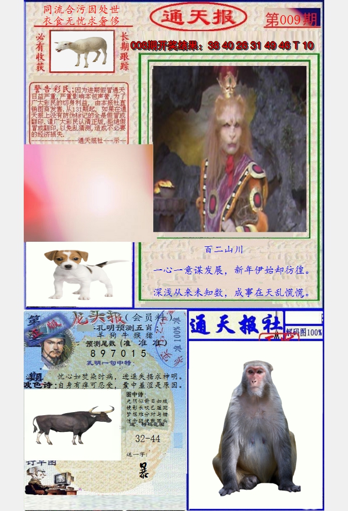 图片加载中