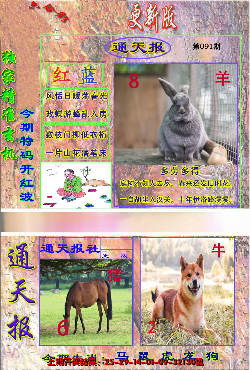图片加载中