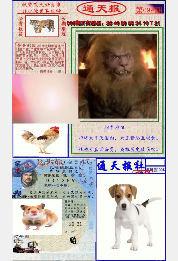图片加载中